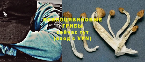 спайс Дмитров