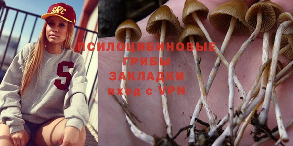 mdpv Елабуга